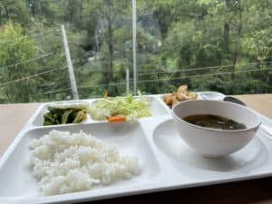 PINES餐食