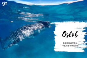 菲律賓宿霧旅遊